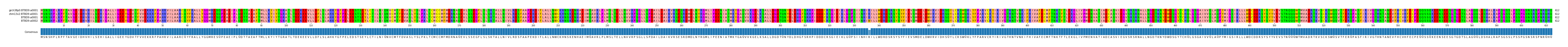 Multiple Alignments (by translate haplotype similarity)