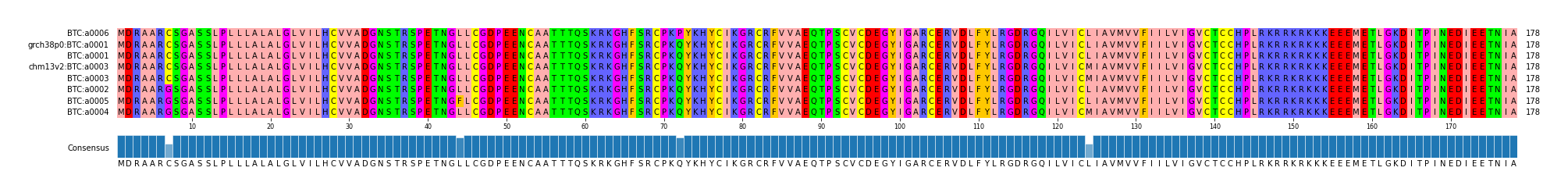 Multiple Alignments (by translate haplotype similarity)
