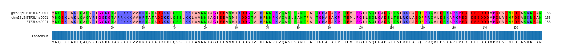 Multiple Alignments (by translate haplotype similarity)