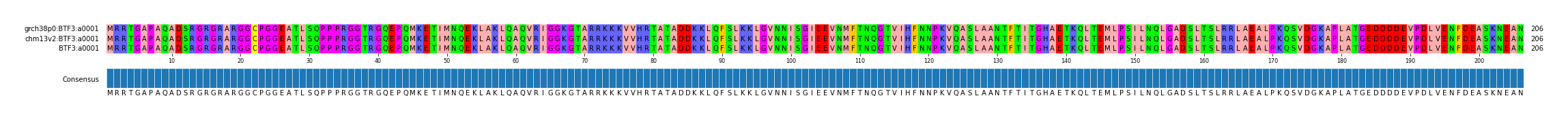 Multiple Alignments (by translate haplotype similarity)