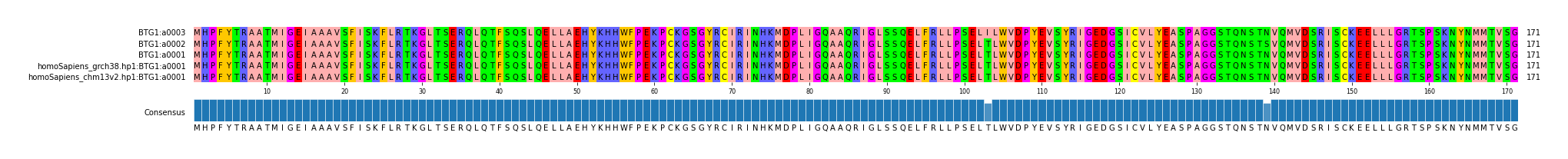 Multiple Alignments (by translate haplotype similarity)