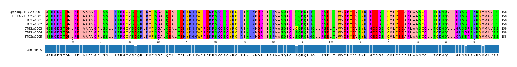 Multiple Alignments (by translate haplotype frequency)