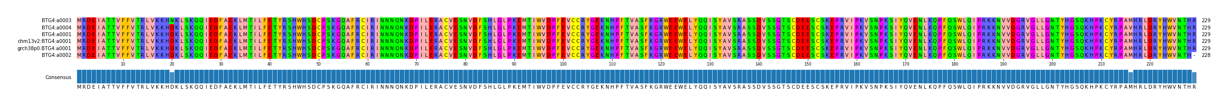 Multiple Alignments (by translate haplotype similarity)