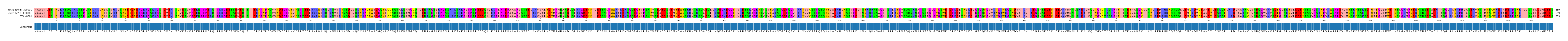 Multiple Alignments (by translate haplotype frequency)