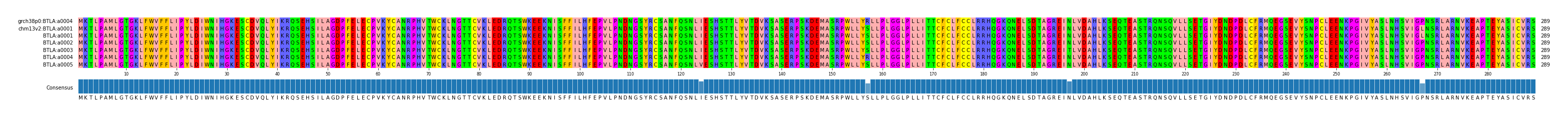 Multiple Alignments (by translate haplotype frequency)