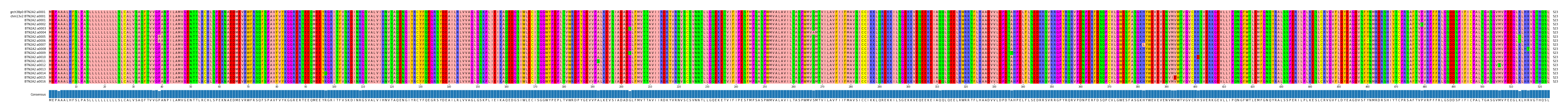 Multiple Alignments (by translate haplotype frequency)