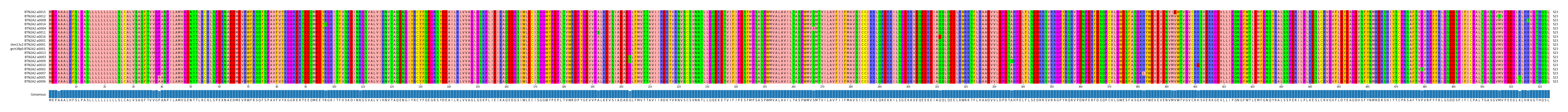 Multiple Alignments (by translate haplotype similarity)