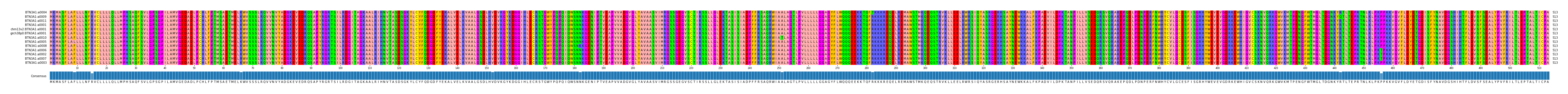 Multiple Alignments (by translate haplotype similarity)