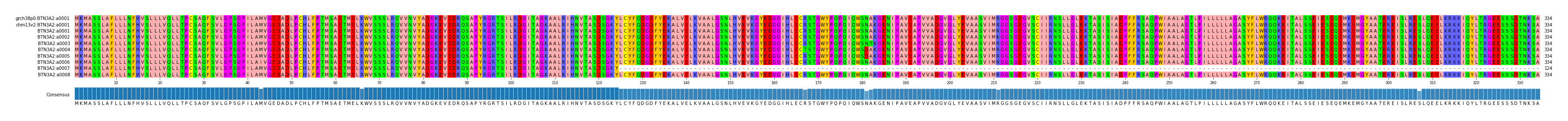 Multiple Alignments (by translate haplotype frequency)