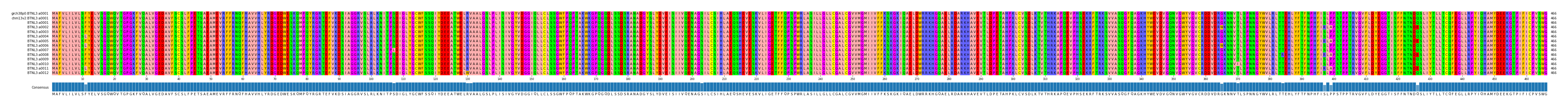 Multiple Alignments (by translate haplotype frequency)