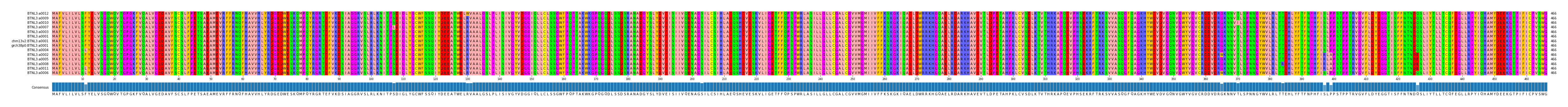 Multiple Alignments (by translate haplotype similarity)