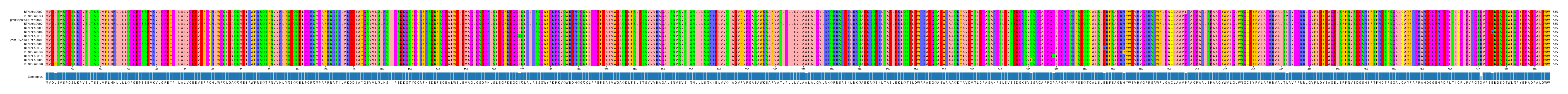 Multiple Alignments (by translate haplotype similarity)