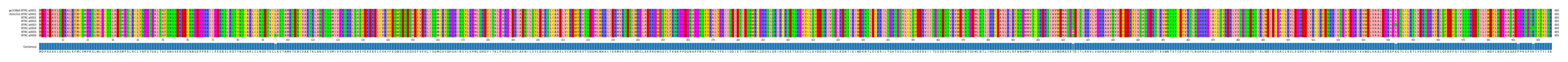 Multiple Alignments (by translate haplotype frequency)