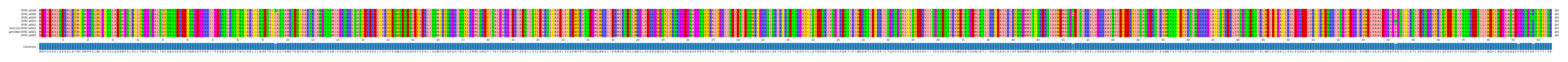 Multiple Alignments (by translate haplotype similarity)