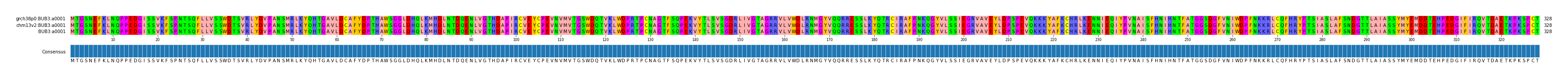 Multiple Alignments (by translate haplotype similarity)