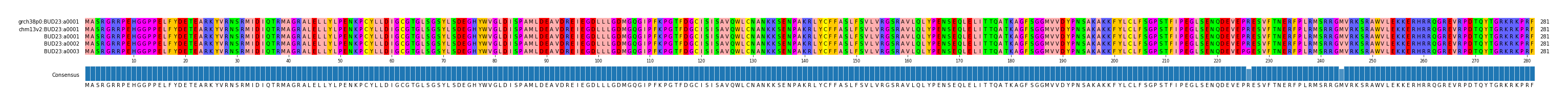 Multiple Alignments (by translate haplotype frequency)