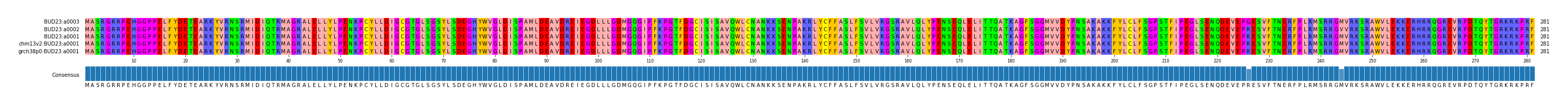 Multiple Alignments (by translate haplotype similarity)
