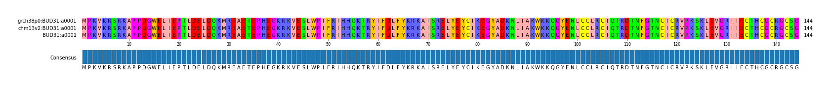 Multiple Alignments (by translate haplotype similarity)