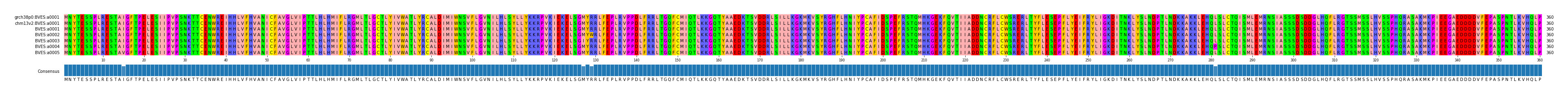 Multiple Alignments (by translate haplotype frequency)