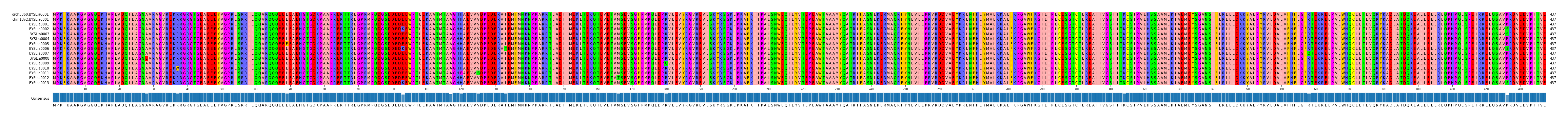 Multiple Alignments (by translate haplotype frequency)