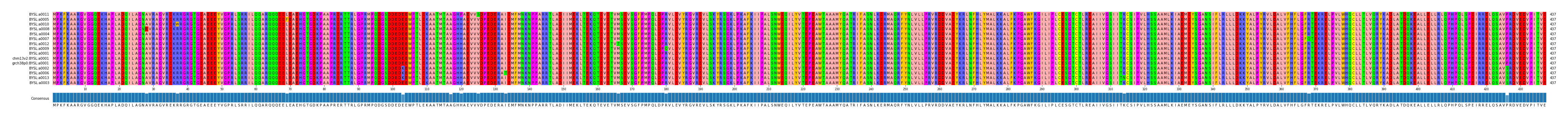 Multiple Alignments (by translate haplotype similarity)