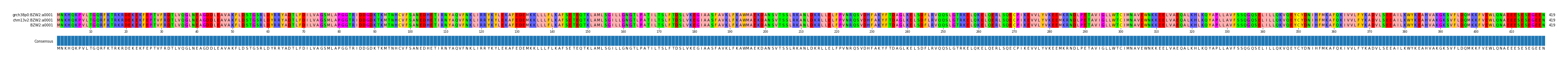 Multiple Alignments (by translate haplotype similarity)