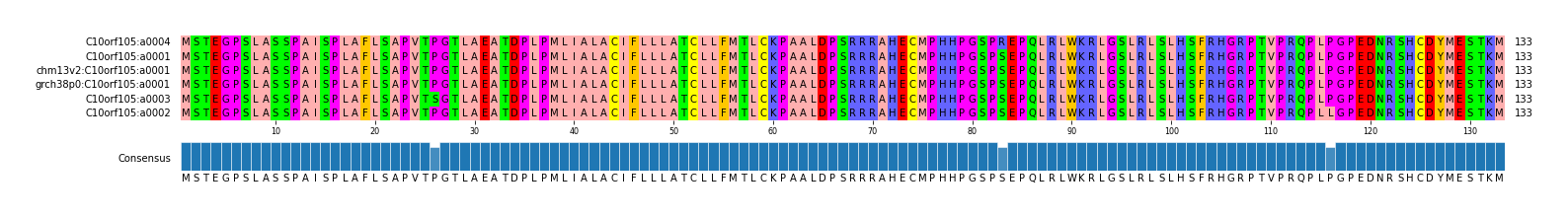 Multiple Alignments (by translate haplotype similarity)