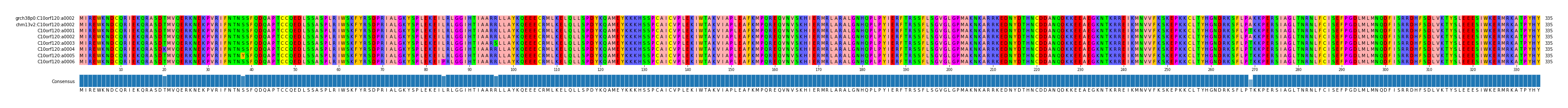 Multiple Alignments (by translate haplotype frequency)