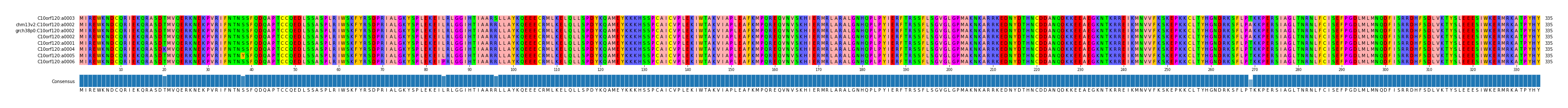Multiple Alignments (by translate haplotype similarity)