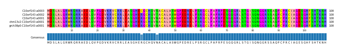 Multiple Alignments (by translate haplotype similarity)