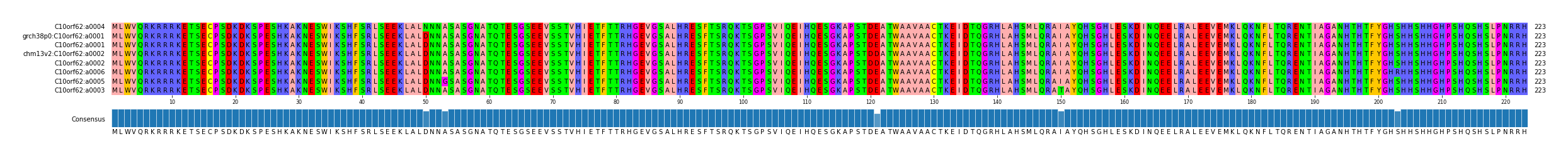 Multiple Alignments (by translate haplotype similarity)
