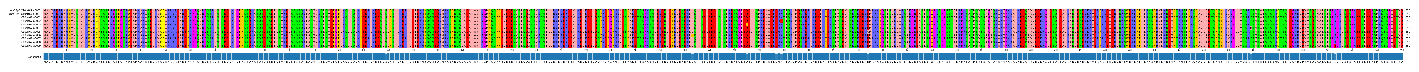 Multiple Alignments (by translate haplotype frequency)