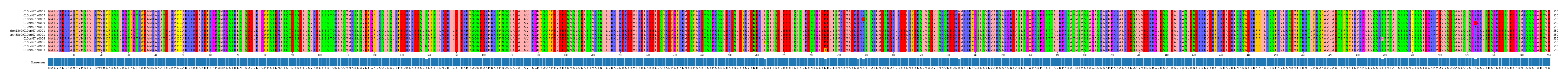 Multiple Alignments (by translate haplotype similarity)