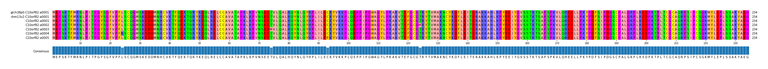 Multiple Alignments (by translate haplotype frequency)