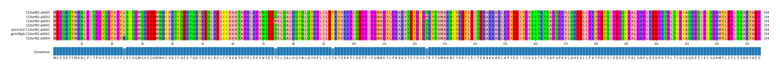 Multiple Alignments (by translate haplotype similarity)