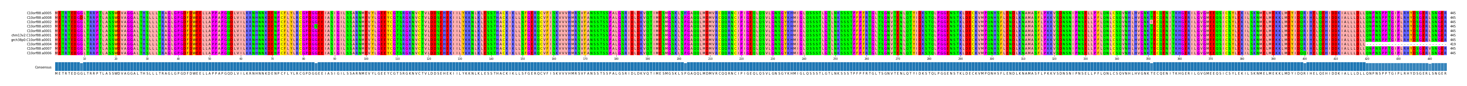 Multiple Alignments (by translate haplotype similarity)