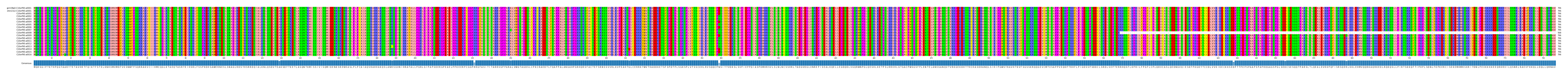 Multiple Alignments (by translate haplotype frequency)