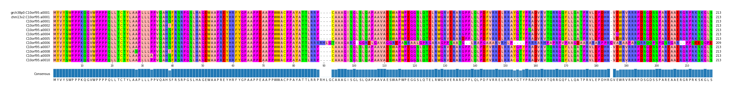 Multiple Alignments (by translate haplotype frequency)