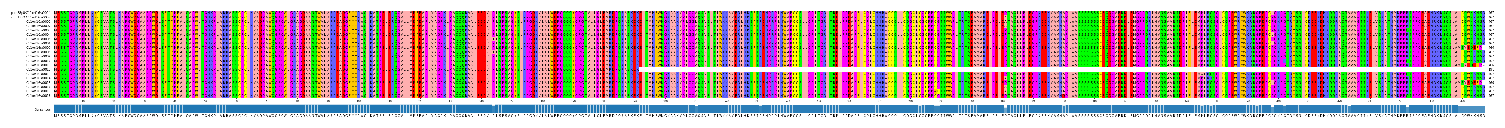 Multiple Alignments (by translate haplotype frequency)