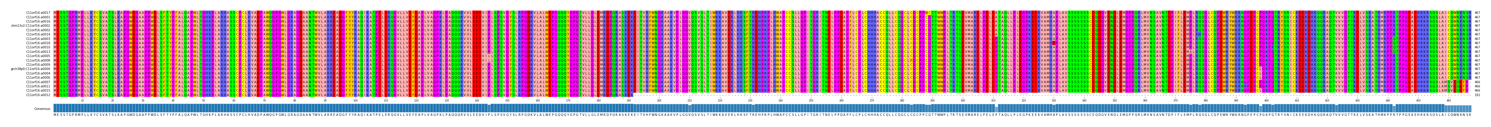 Multiple Alignments (by translate haplotype similarity)