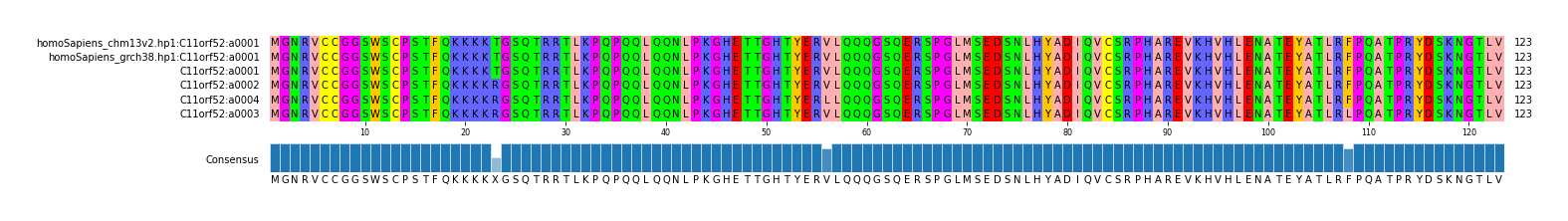 Multiple Alignments (by translate haplotype similarity)