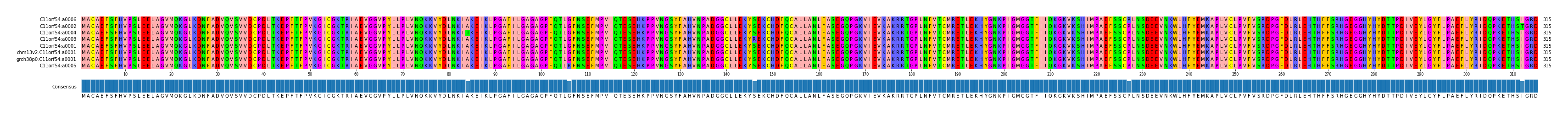 Multiple Alignments (by translate haplotype similarity)