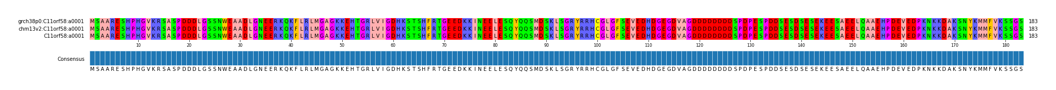 Multiple Alignments (by translate haplotype similarity)