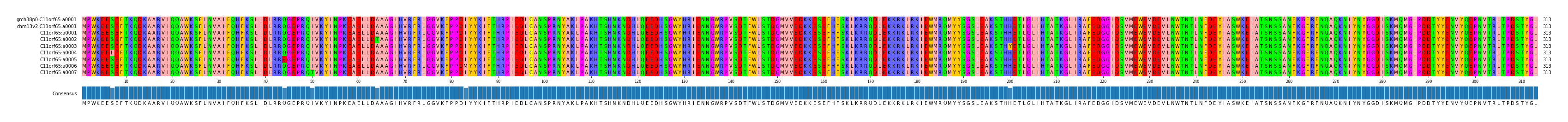 Multiple Alignments (by translate haplotype frequency)