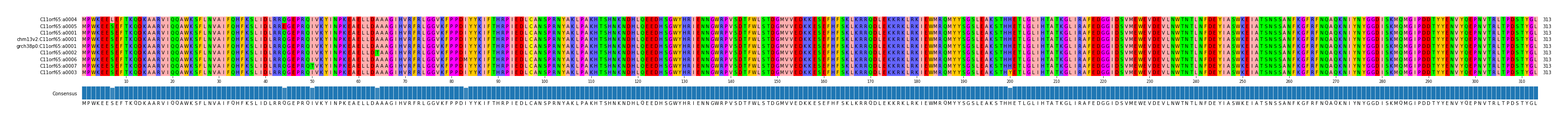 Multiple Alignments (by translate haplotype similarity)