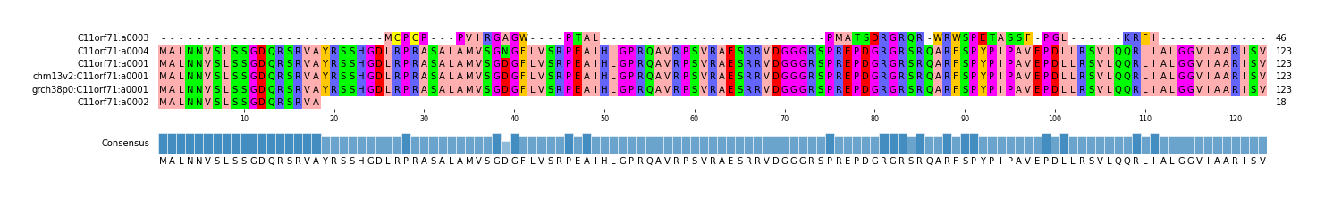 Multiple Alignments (by translate haplotype similarity)