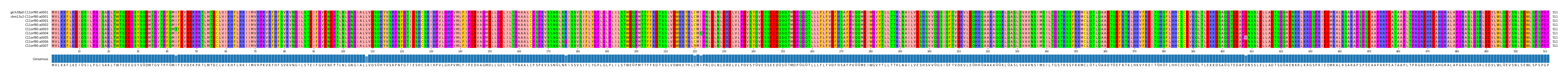 Multiple Alignments (by translate haplotype frequency)
