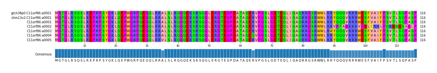 Multiple Alignments (by translate haplotype frequency)