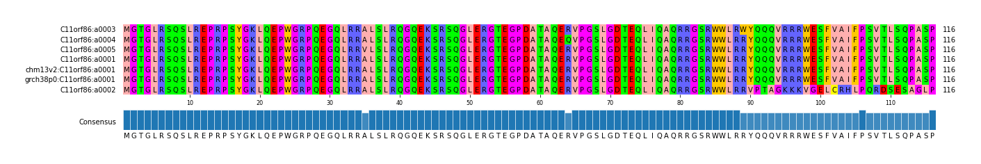 Multiple Alignments (by translate haplotype similarity)