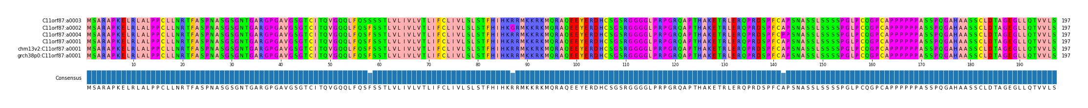 Multiple Alignments (by translate haplotype similarity)